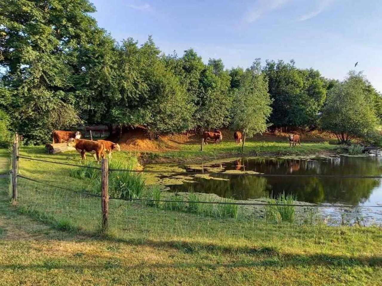 Boertel Lamperse Hei Hotel Wanroij Luaran gambar